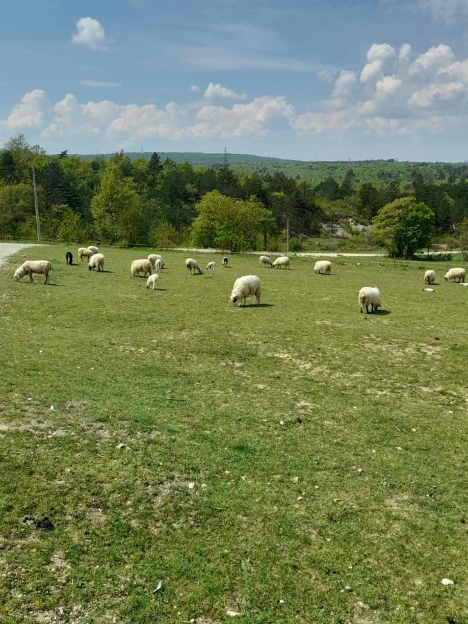 Ferienwohnung Kuca Za Odmor Lana Kršan Exterior foto